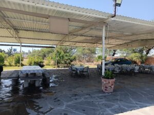 IMG_20240330_110123